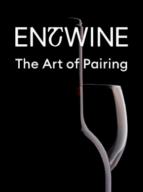 Entwine project preview